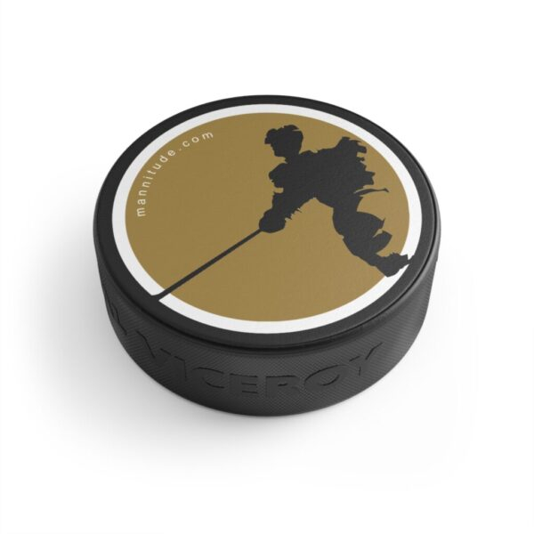 Hockey Puck | Music Dude