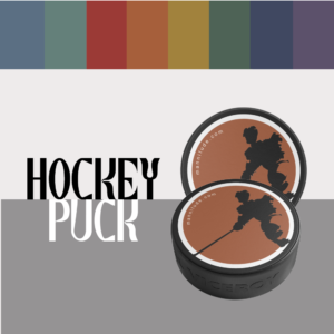 Hockey Puck